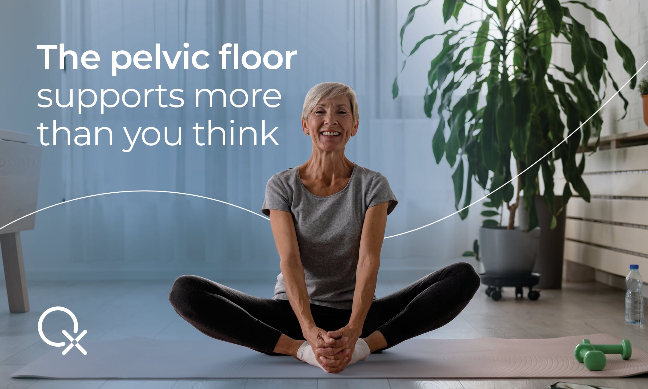 ο ηβοκοκκυγικός μυς ως μέρος της μυϊκής ομάδας του πυελικού εδάφους