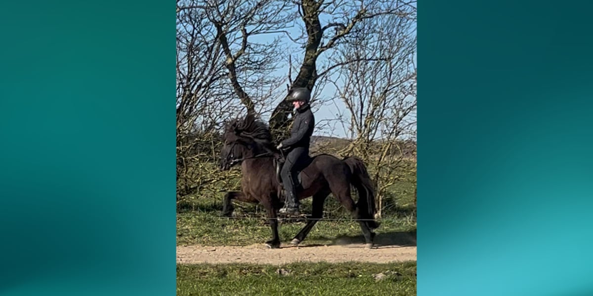 Person riding dark horse along wooded path