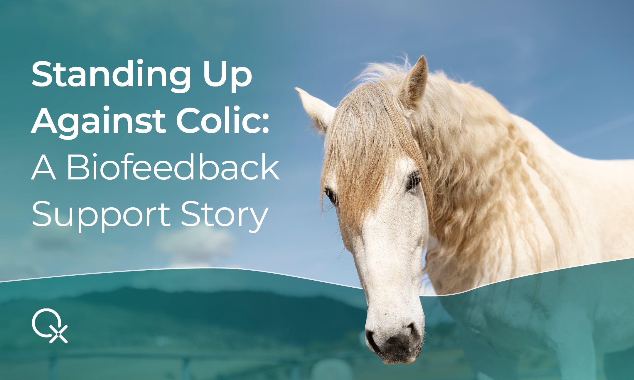 White horse with colic biofeedback support text